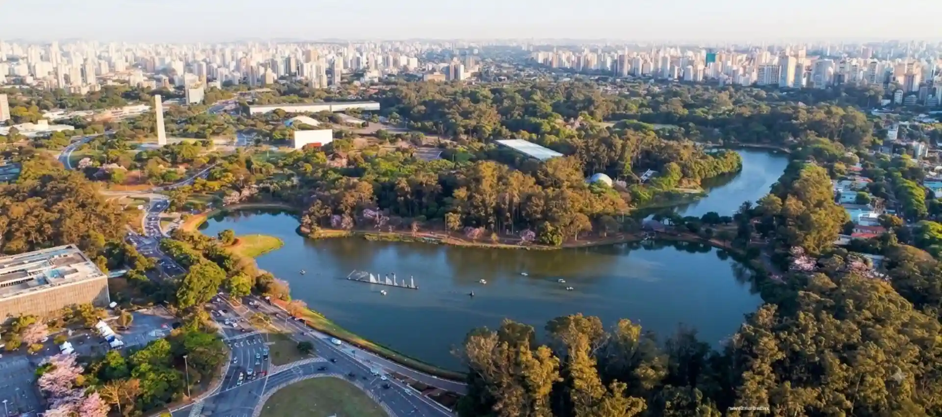 Imagem do Parque do Ibirapuera, com vista por cima como se fosse um sobrevoo